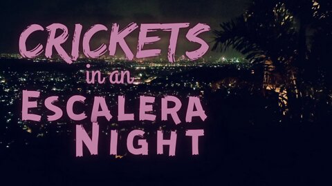 Crickets in an Escalera Night | Crickets at Night | Ambient Sound | What Else Is There?