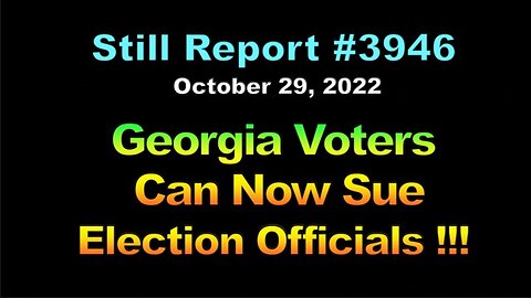 Georgia Voters Can Now Sue Election Officials !!!, 3946