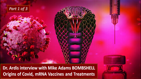 Part 1 of 3 - Mike Adams with Dr. Bryan Ardis BOMBSHELL Origins of Covid, mRNA vaccines & Treatment