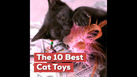 The 10 Best Cat Toys