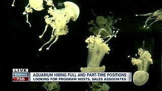 Aquarium of Niagara looking to fill 20 positions ASAP