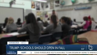 Trump: Schools should reopen in the fall