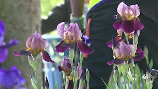 Volunteers plant butterfly garden in Historic Northeast