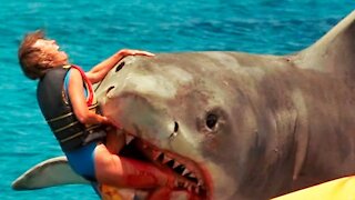 Shark attack compilation with actual footage