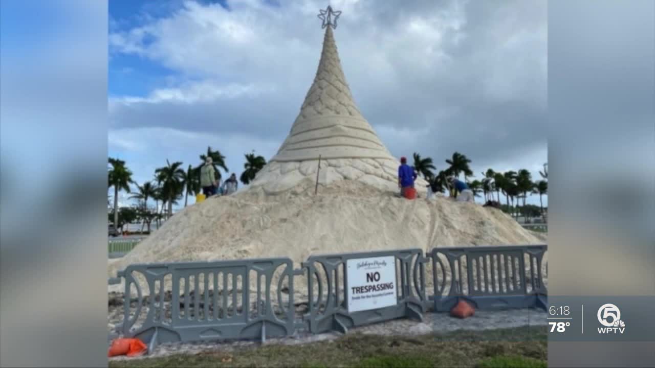 Sandi Tree illuminated in downtown West Palm Beach