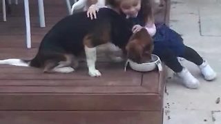 Little girl surprised by doggy kiss, adorably runs away