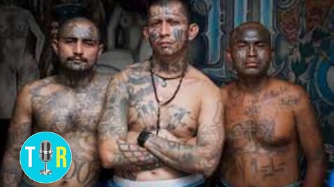 MS-13 Gang: Undercover Video of Largest Takedown in US History - The Interview Room