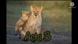 Read the Bible with me. Acts 3