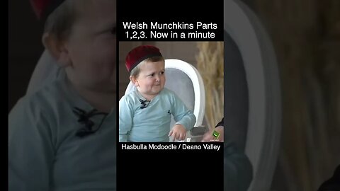 Welsh Munchkins Parts 1,2 and 3 highlights now in a minute. Hasbulla Mcdoodle / Deano Valley