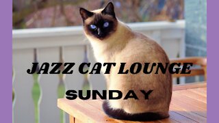 Easy listening jazz at JAZZ CAT LOUNGE SUNDAY