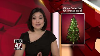Cities collecting Christmas trees