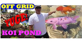 Man Living Off Grid Builds Koi Pond!!