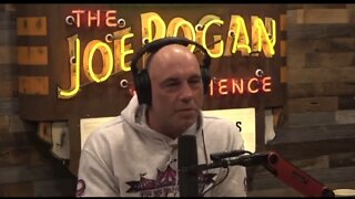 Joe Rogan: Teachers Shouldn't Have a Role in Explaining Gender To 7-Year-Olds