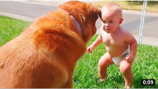 little baby and the beautiful dog