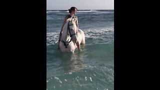 How beautiful horse riding in water😱