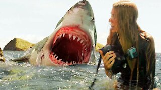 BLOOD THIRSTY SHARK ATTACK HUMAN