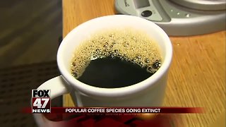 Study: Fewer coffee crops could lead to more expensive & bad-tasting coffee
