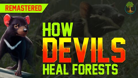 How Devils Heal Forests