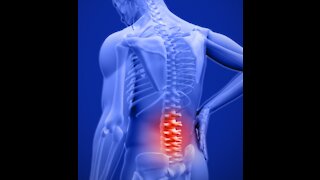 Chronic Low Back Pain : Understanding lower back structures and treatment approaches