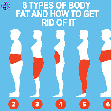 6 types of body fat and how to get rid of it