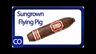 Drew Estate Undercrown Sungrown Flying Pig Cigar Review