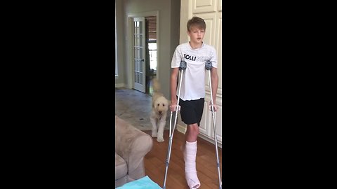 Dog Perfectly Mocks Teenager's Broken Leg 'Walk'