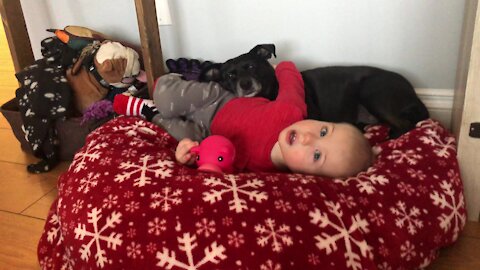 Puppy love between baby and his dog is super sweet