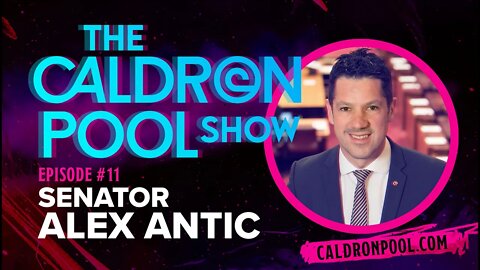 The Caldron Pool Show: Episode 11 - Senator Alex Antic