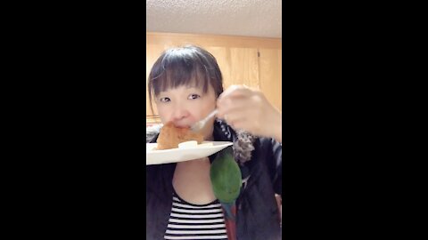 Breakfast With Parrot