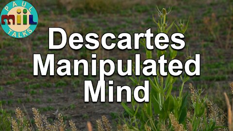 28 D.A. the D.A: Descartes Manipulated Mind