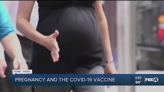 Vaccines for pregnant women