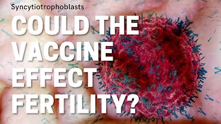 Can the Covid-19 Vaccine effect our fertility?