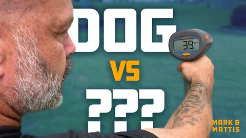 Episode 1: Dog vs…?
