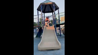Dog's first ride down a slide is an adorable success