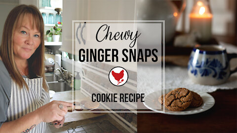 Chewy Ginger Snaps - Cookie Recipe Exchange Collaboration | A Good Life Farm