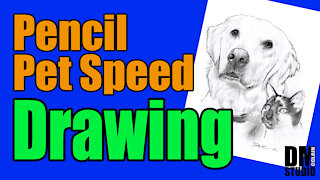 Time lapse pencil portrait of dog and cat