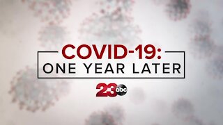 COVID-19: One Year Later