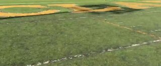 CCSD to replace football fields with turf