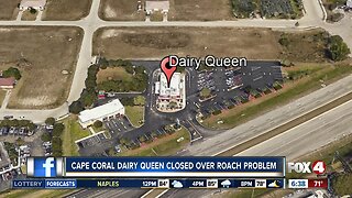 Live roaches found at Cape Coral Dairy Queen