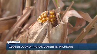 Closer look at rural voters in Michigan