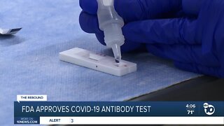 FDA approves COVID-19 antibody test