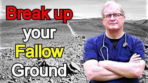 Break up your Fallow Ground - Dr. David Mackereth Sermon