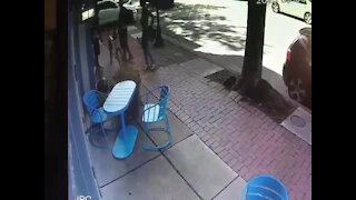 VIDEO: Car drives through Pigtown business storefront