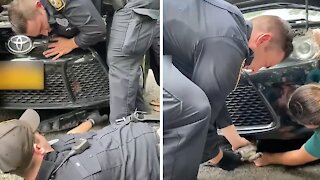 Police officers rescue kitten trapped in car engine