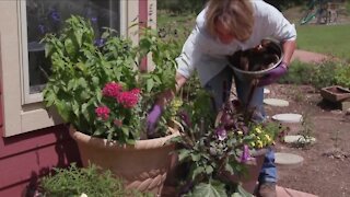 MELINDA'S GARDEN MOMENT - COFFEE GROUNDS IN YOUR COMPOST