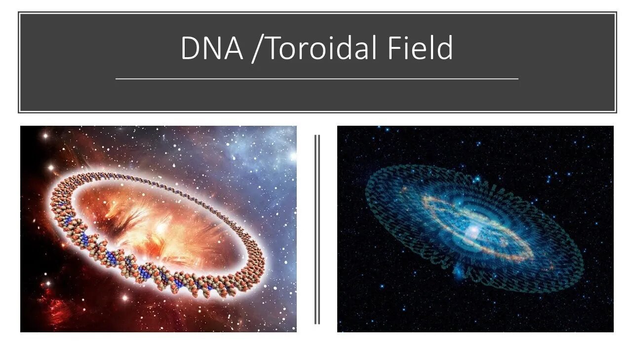 DNA & Toroidal Field/ Two of the same Coin Deception