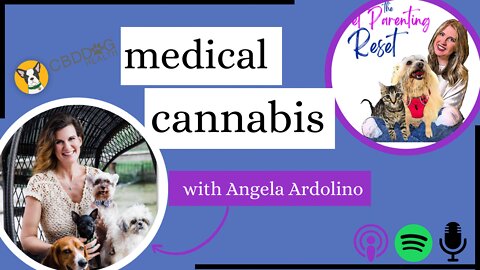 How To Help Your Dog When They're Sick (and When They're NOT!) with Angela Ardolino