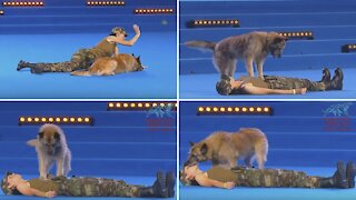 FCI Dog dance World Championship 2021 | Freestyle final | Lisette Olausson and Gaston (Sweden)