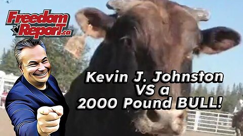 KEVIN J. JOHNSTON VS. A 2000 POUND BULL WHILE PLAYING MEXICAN POKER!