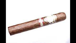Punch Rare Corojo 10th Anniversary 4 Years Aged Cigar Review